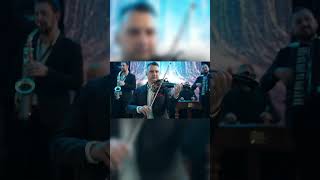 🎻🔥Ascultă si tu „Hora Craiovenilor” #Shorts #fyp   #Vioara #Romania #Traditional #Music