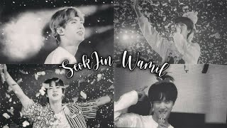 KIM SEOKJIN WAMIL || NARASI BTS