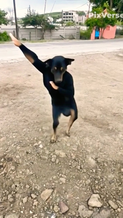 haw possible 🤔 dog dance | ai video #ai #funny #dog #animals  #viralshorts  #cow #dance