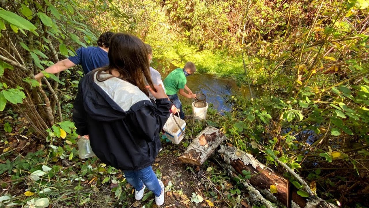 Chimacum, WA Schools - A great place to live, work and make an impact.