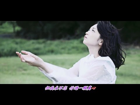 風箏....一個被遺忘的歌手(曾路得)