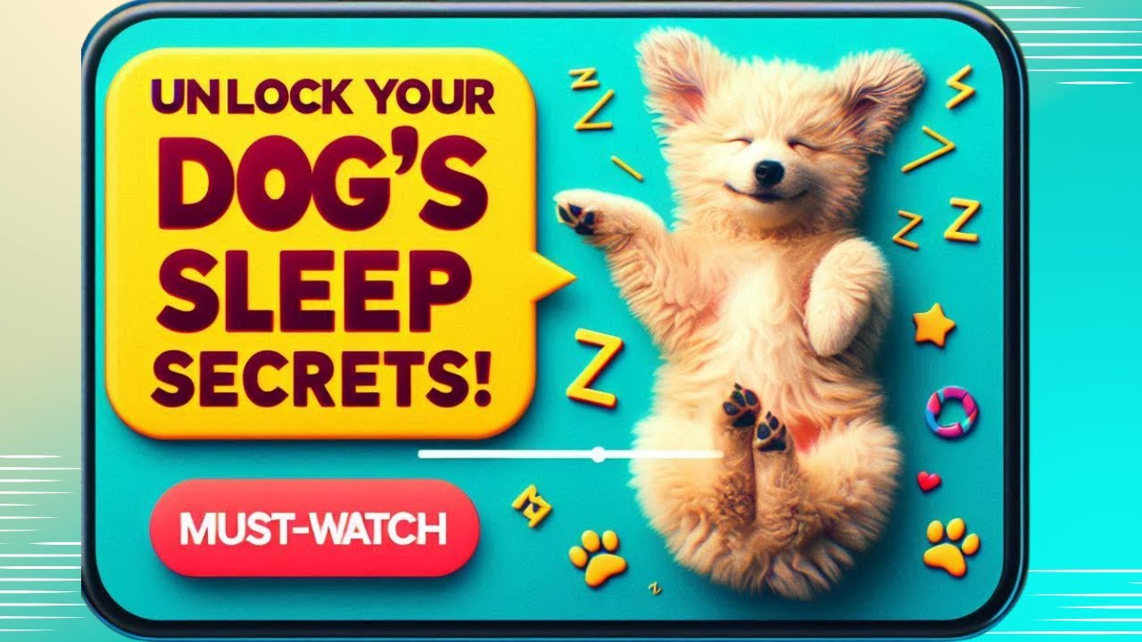 Dog Sleep Positions Decoded