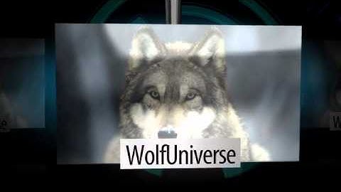 My New Intro! uploaded from FliXpress.com