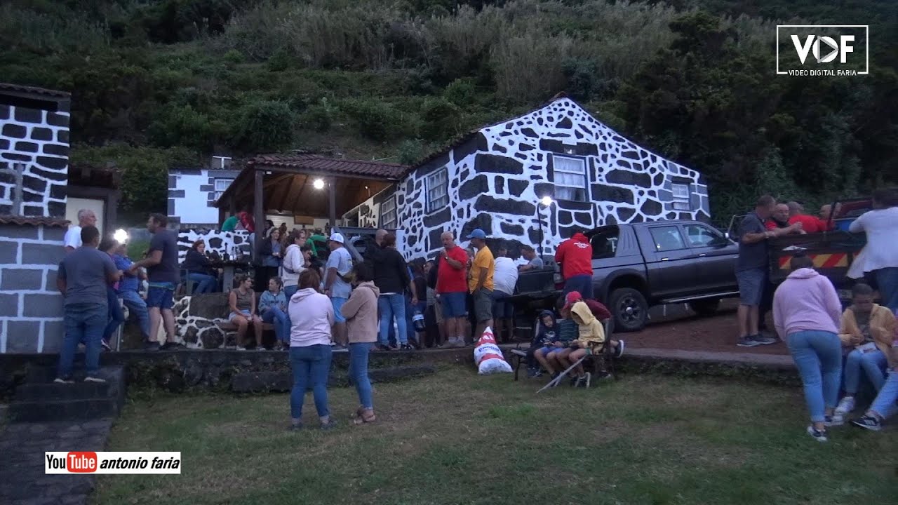 5º Toiro fez estragos em 12 Adegas na Fajã das Pontas Ilha São Jorge