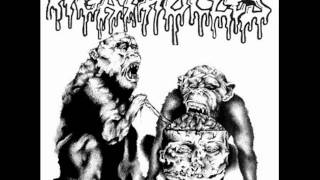 Agathocles - Detonating Nitroglycerin
