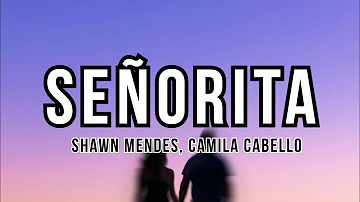 Shawn Mendes & Camila Cabello - Señorita (Lyrics)