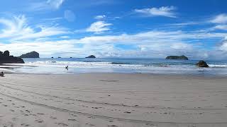 Manuel Antonio Beach November 2021 - Costa Rica Resimi