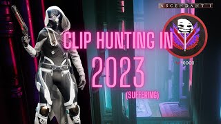 What it looks like to Main Destiny 2 PvP in 2023 (Brain Damage)