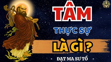 TÂM và SUY NGHĨ có phải là MỘT? Bồ Đề Đạt Ma khai thị Rất Hay