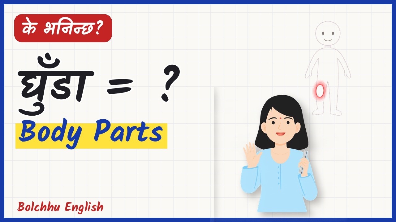 शरीरका ३३ अंगलाई अंग्रेजीमा के भनिन्छ? | Body Parts in English | के भनिन्छ?