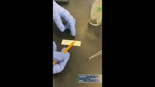 Chem 12A Demo Quiz Video - Lab E (Column Chromatography)