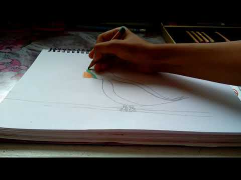Видео: Как да нарисувате вълнообразен папагал