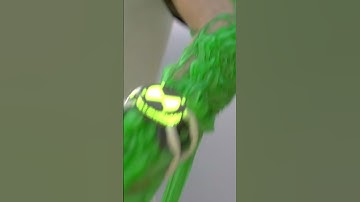 Ben 10 Wildvine Transformation in Real Life! #Ben10
