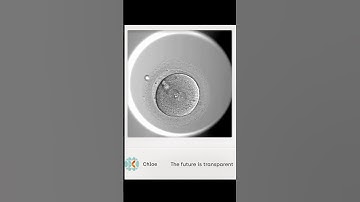 Fairtility has received FDA clearance on its AI-based embryo assessment tool for IVF, CHLOE Blast.