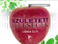 Szletett Felesgek - 7x12 -Hov tartozom? Prom (Desperate Housewives)