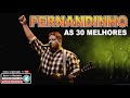 Fernandinho -  As 30 Melhores