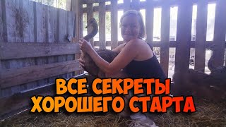 ЮЖНО-АФРИКАНСКИЙ СТРАУС / КОРМЛЕНИЕ, СОДЕРЖАНИЕ