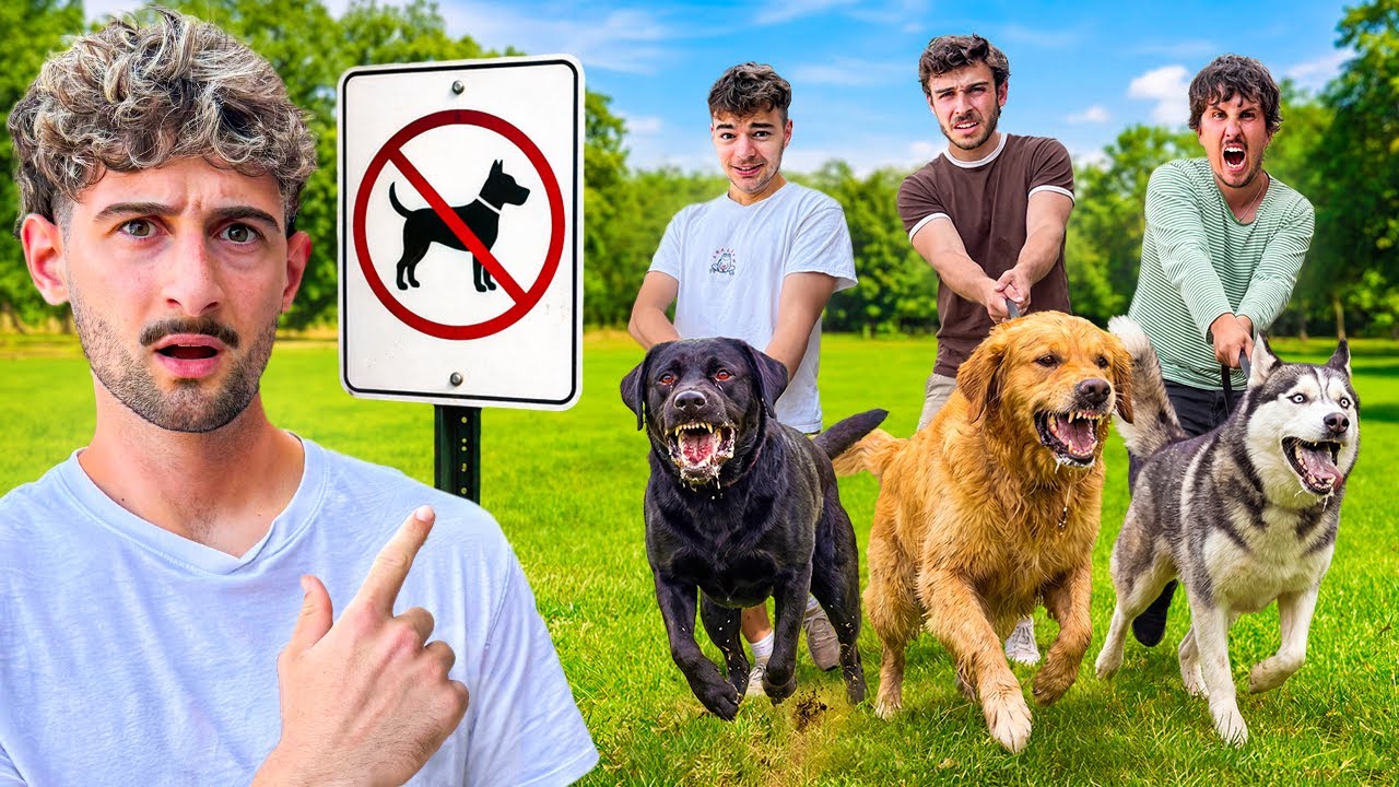 We Became Dog Dads For A Day