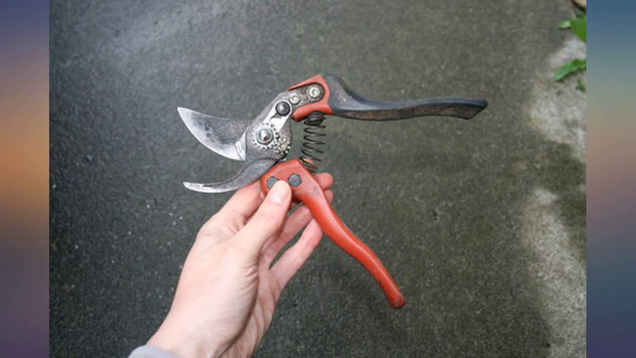 Bahco Ergo Bypass Pruner PXM2 review YouTube