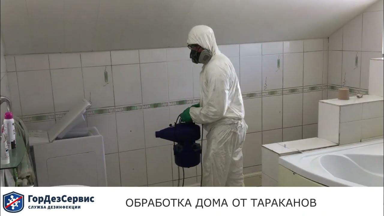 Сетевые операционные системы схема. Служба обработки. Служба дезинфекции санкт петербурга. Служба обработки. Служба обработки.