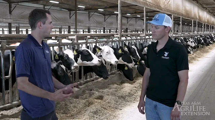 Juan Pieiro - Disease Prevention in Dairy Cattle -...