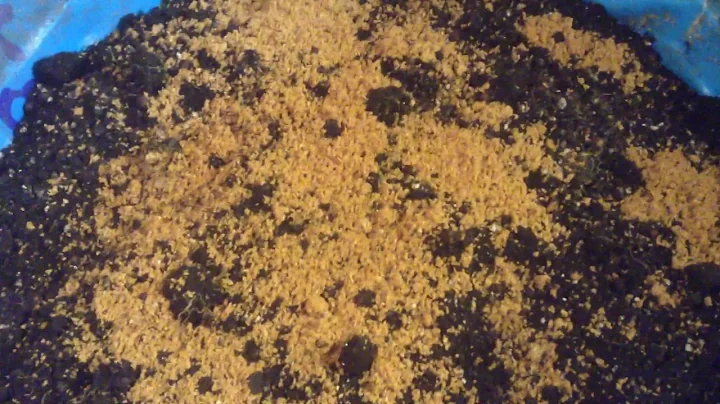 Using indigenous microorganisms IMO3 beneficial bacteria for seeds starter soil for organic garden