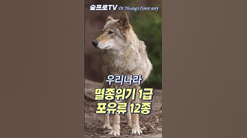 멸종위기 1급 포유류 12종 #멸종위기종 #멸종위기동물