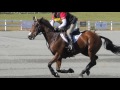 2016 Fairhill International CCI