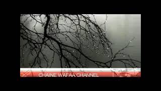 wafaa channel