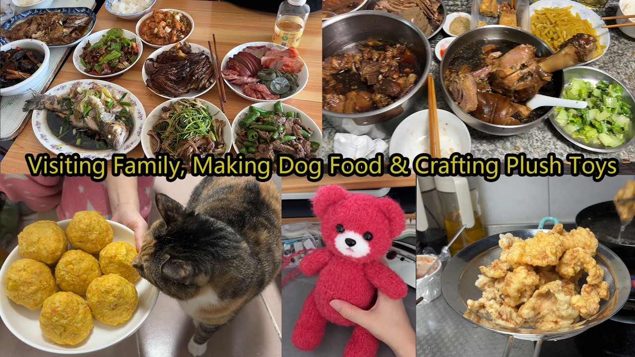 Daily life in China cn |  7 Days of my Chinese New Year: Big Family Feasts & Handcrafting a Plushie
