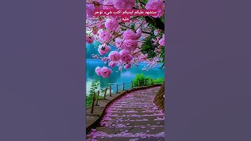 سوره العصر بصوت الشيخ فارس عباد #اكسبلور ❤️❤️❤️