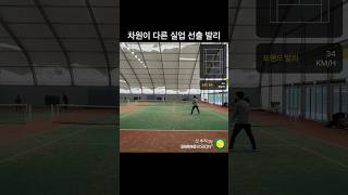 #테니스실업선출 #테니스발리 #차원이다른실력