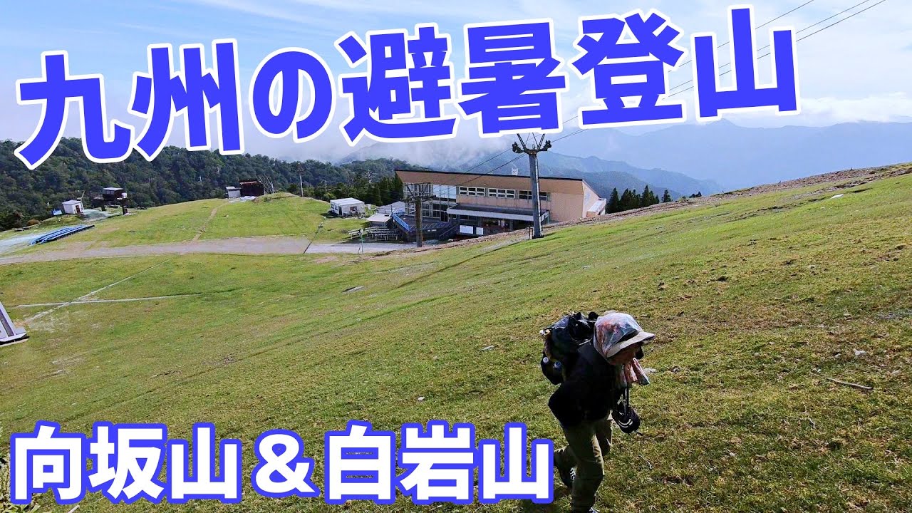 【向坂山＆白岩山】避暑登山の断然有力候補【2025年7月6日】