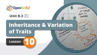 Unit B.3 Lesson 10 Planning Video | OpenSciEd On-Demand Resources