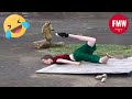 Funny  hilarious peoples life  54  try not to laugh  funny fails compilation 2024