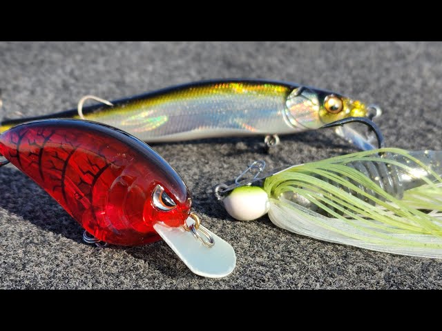 5 MUST HAVE Baits For Spring Bass Fishing! 