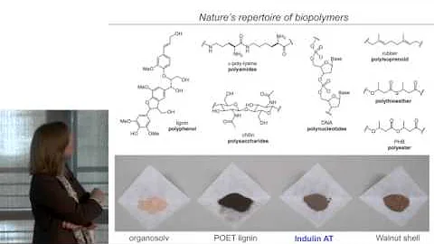 Renewable materials and chemistries from plants | ...