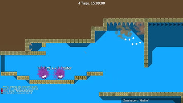 Teewolrds Pepe block