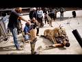 Gladiator 2000 Behind The Scenes The Making Of The Film 