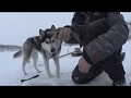 как,где и на что ловить кумжу зимой\how, where and what to catch trout in winter