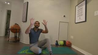 Shoulder Beginner Body Awareness -   Quadruped Scapula stability elevation and depression