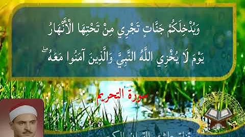 القارئ محمد صديق المنشاوي سورة التحريم مجود