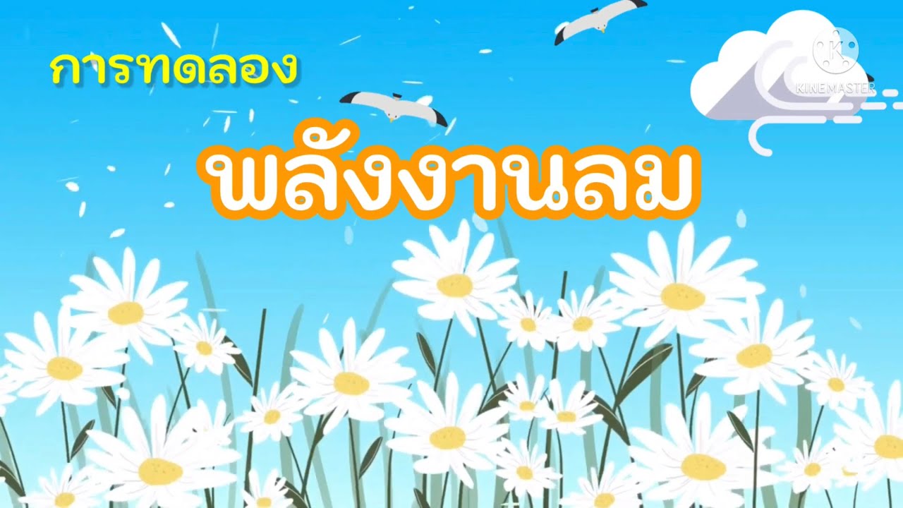 การทดลอง พลังงานลม