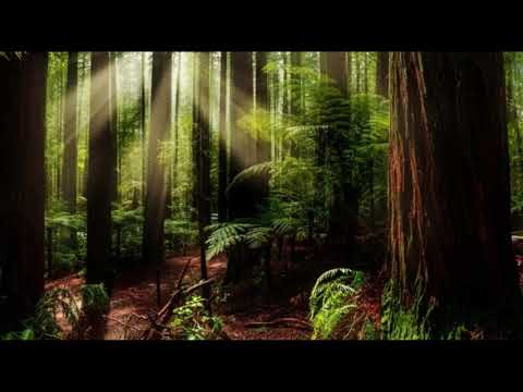 Music For Positivity