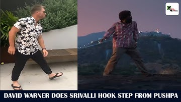 David Warner Dance For Pushpa Srivalli Song | Allu Arjun | David Warner Latest Reel