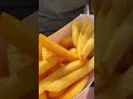 and i oop- #funnyanimals #funnyshorts #hilarious #fyp #seagull #seagullwatches #funny