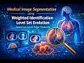 Medical Image Segmentation using Weighted Identification Level Set Evolution based on Local Edge