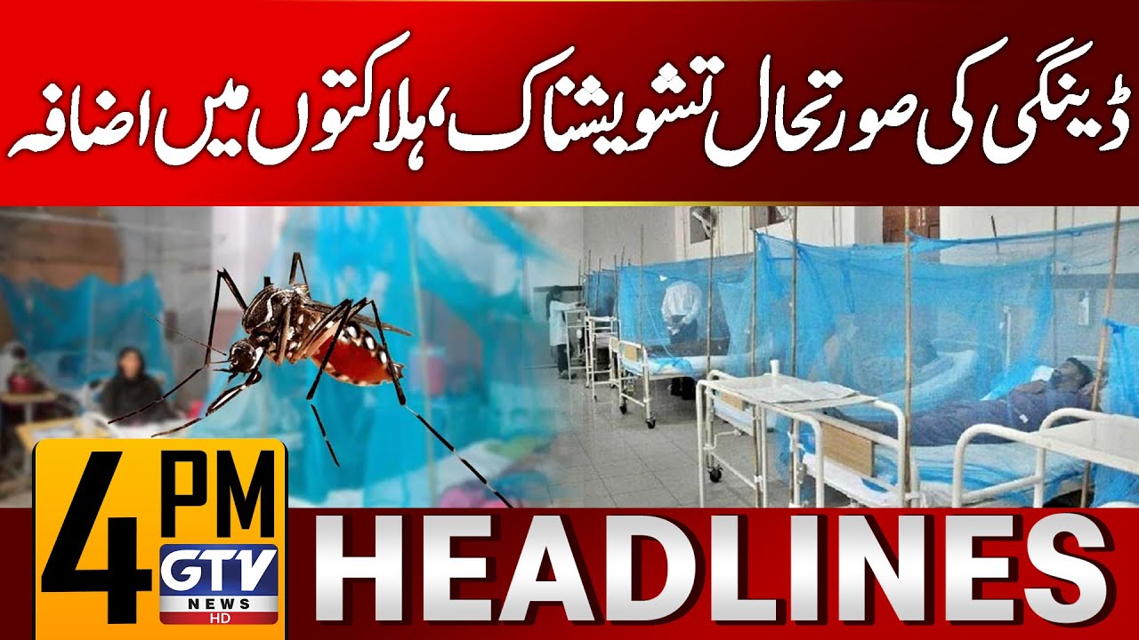 Dengue Outbreak | Alarming Situation as Death Toll Increases | 4 PM News Headlines | GTV News