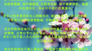 第22天:自由的心