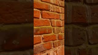 Таинственные Окна Колокольни